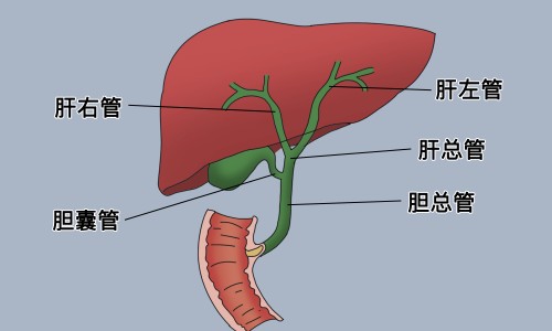 肺结核病人能不能过夫妻生活-【肺结核病人嗜睡正常吗】肺结核病人发烧了怎么办 - 肺结核病人应怎样隔离网