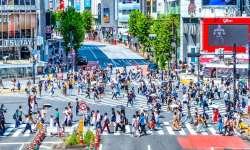 肺结核的病人吃什么营养品好-【肺结核病人嗜睡正常吗】肺结核病人发烧了怎么办 - 肺结核病人应怎样隔离网